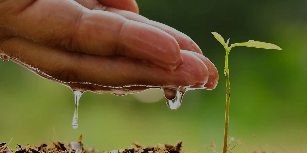 Bajo impacto ecológico